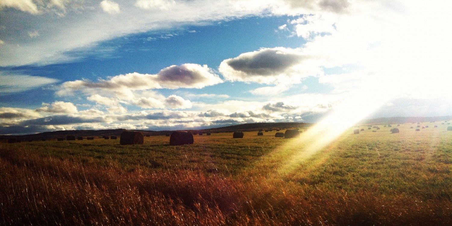 Benjamin Oliphant banner