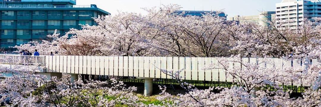 haru507's profile banner image