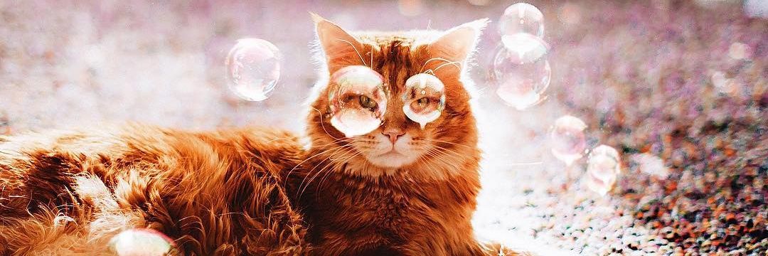 phzinho92's profile banner image