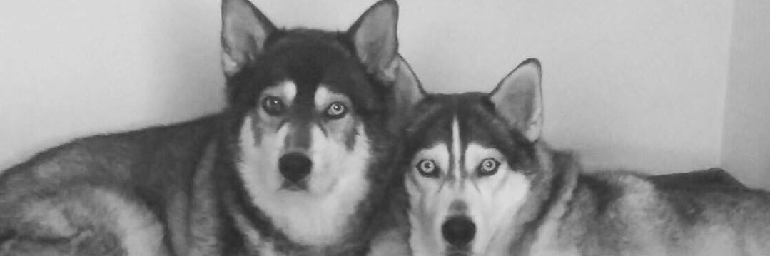 Andrewbermu's profile banner image