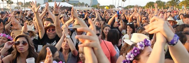 FiestaFlorCC's profile banner image