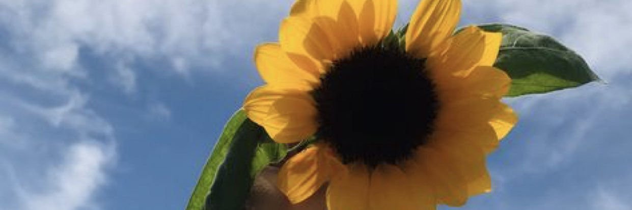 noof5592's profile banner image