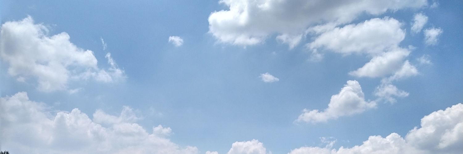 Minellyrt's profile banner image