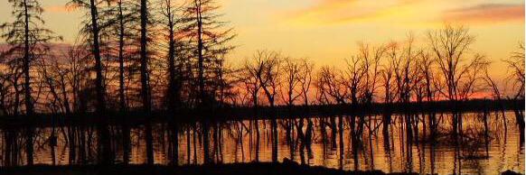 NDSunsets's profile banner image