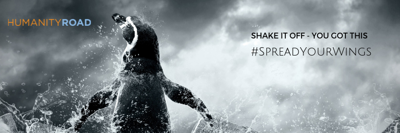 Animals in Disaster banner