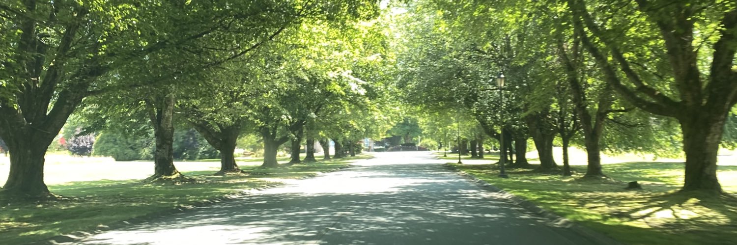 Swaneset Events banner