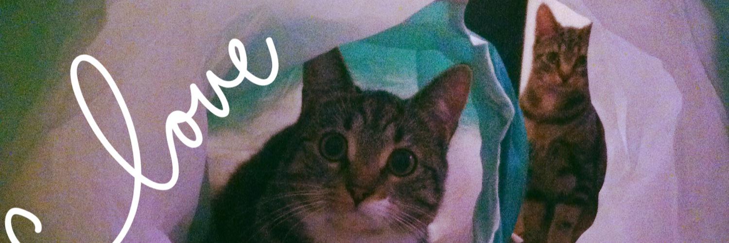 OfficialNova9's profile banner image