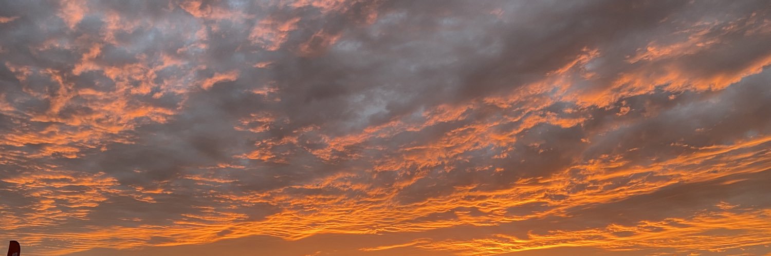 _brennabee's profile banner image