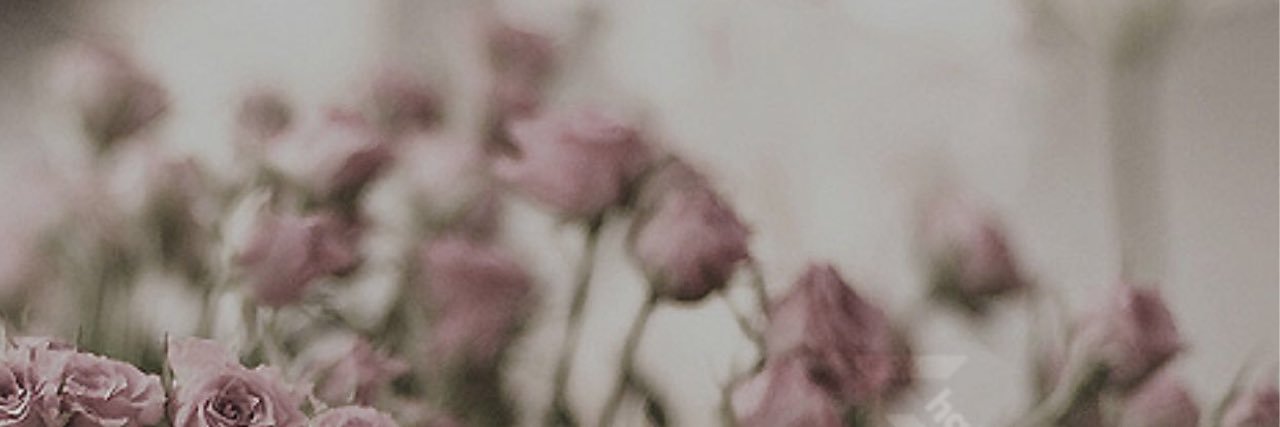 ddddrrrr4's profile banner image