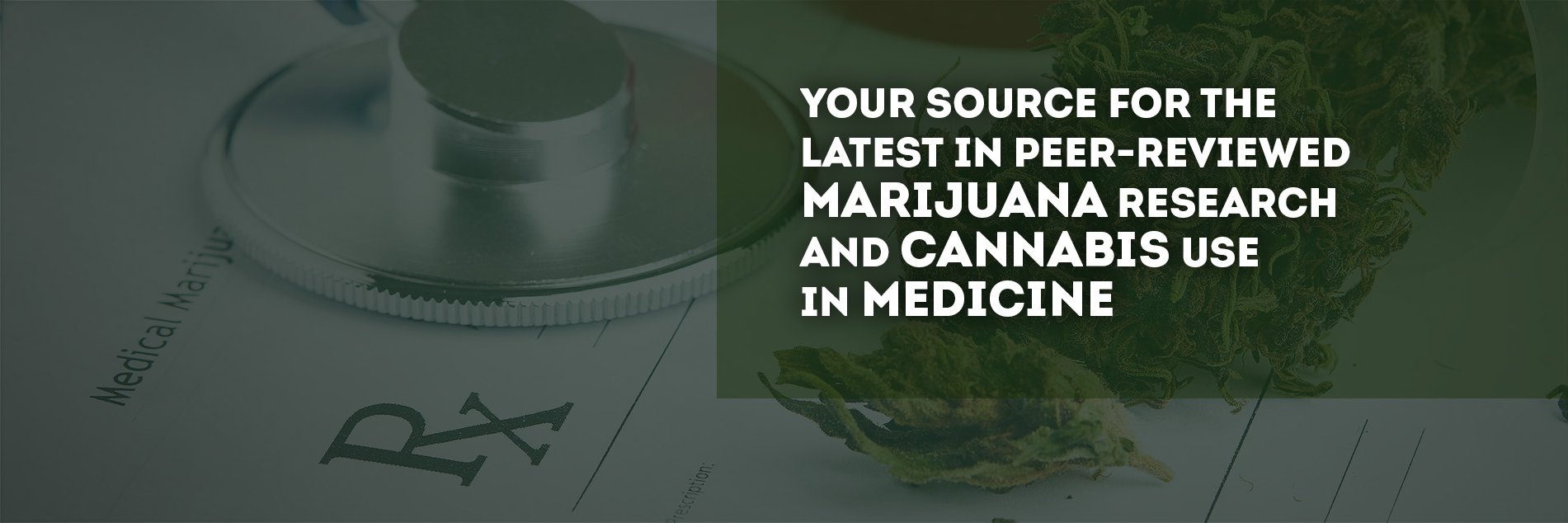 MJ Wellness banner