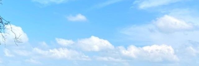 MAFUYU. banner