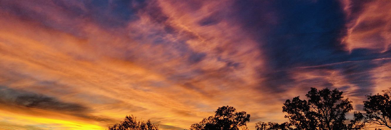 lexiibarth's profile banner image