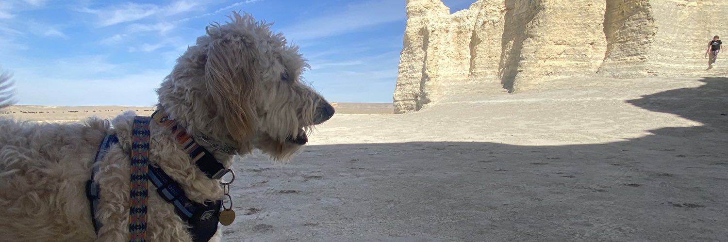 Aaron Thompson 🎥 banner