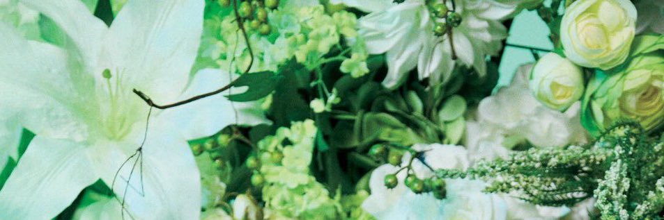 420Nano's profile banner image