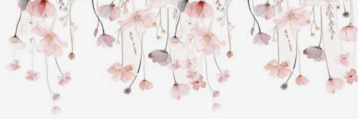 PatriciaColqui's profile banner image