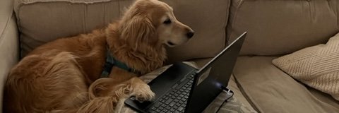 AmyDoesEdTech's profile banner image