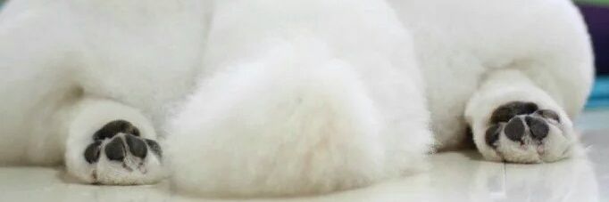 Mayv banner