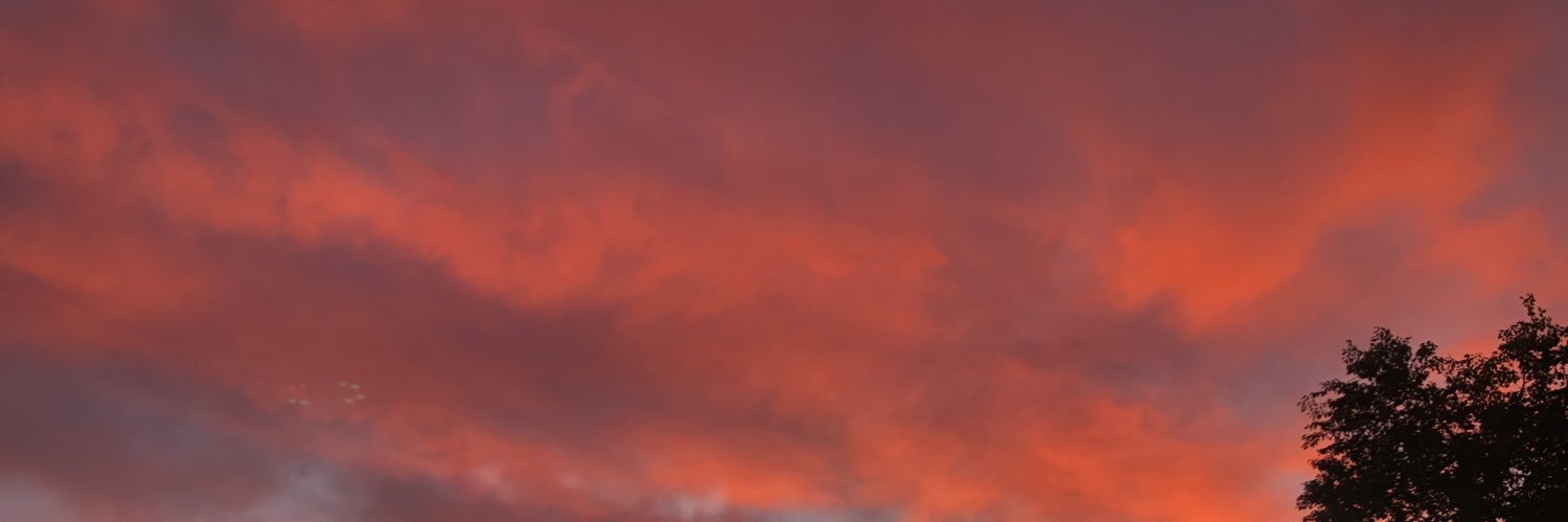 natalie banner