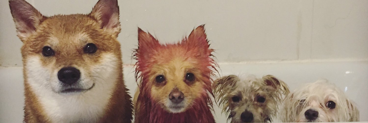 classyaspup's profile banner image