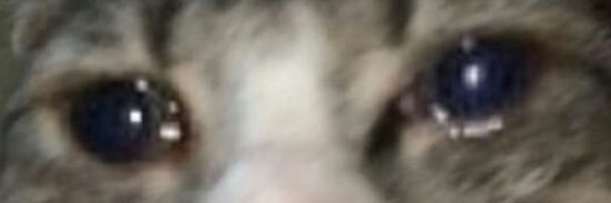 EaskeruthGaming's profile banner image