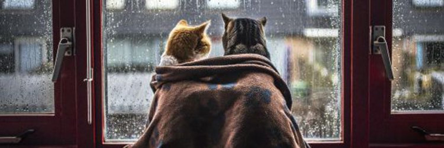 tugbattopcu's profile banner image
