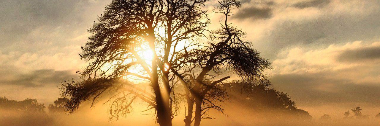 EricKariithi's profile banner image