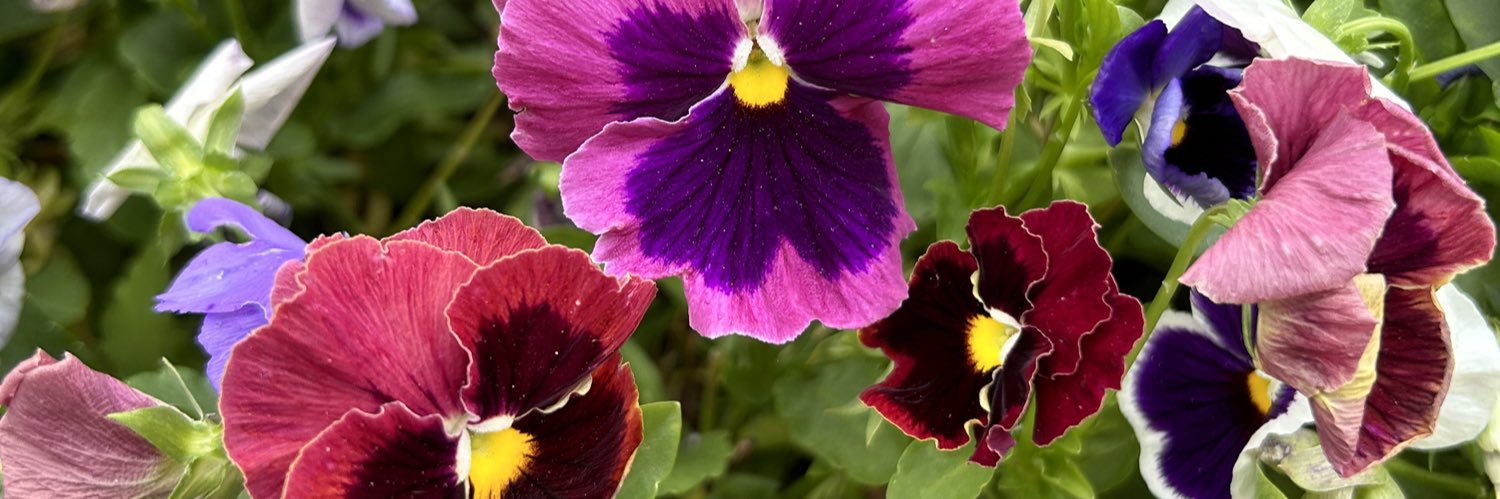 sbur5981's profile banner image