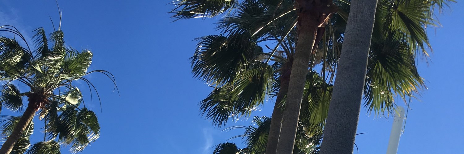 NadokiAF's profile banner image