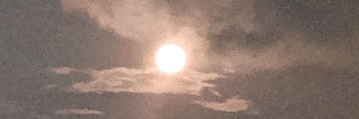 Patricia Acapulco banner