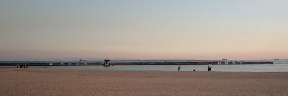 コツム banner