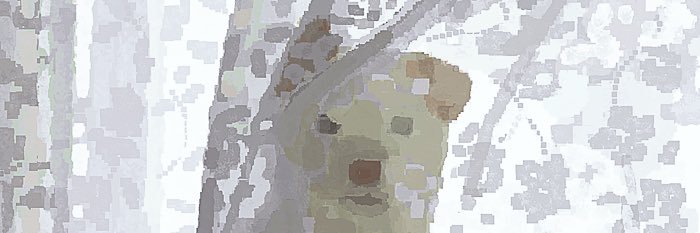 Jhynkita banner