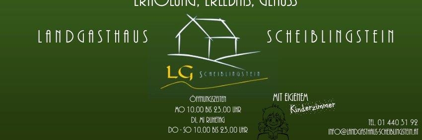 LGScheiblingst's profile banner image