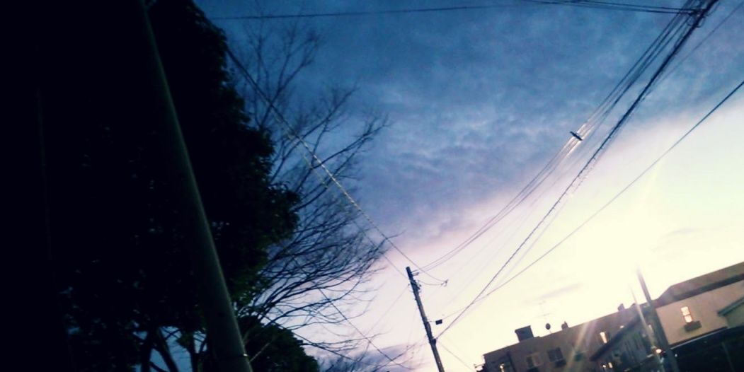 Lily00323's profile banner image
