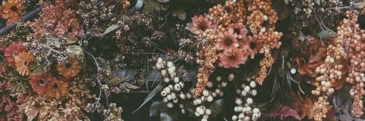 samariaraven_'s profile banner image