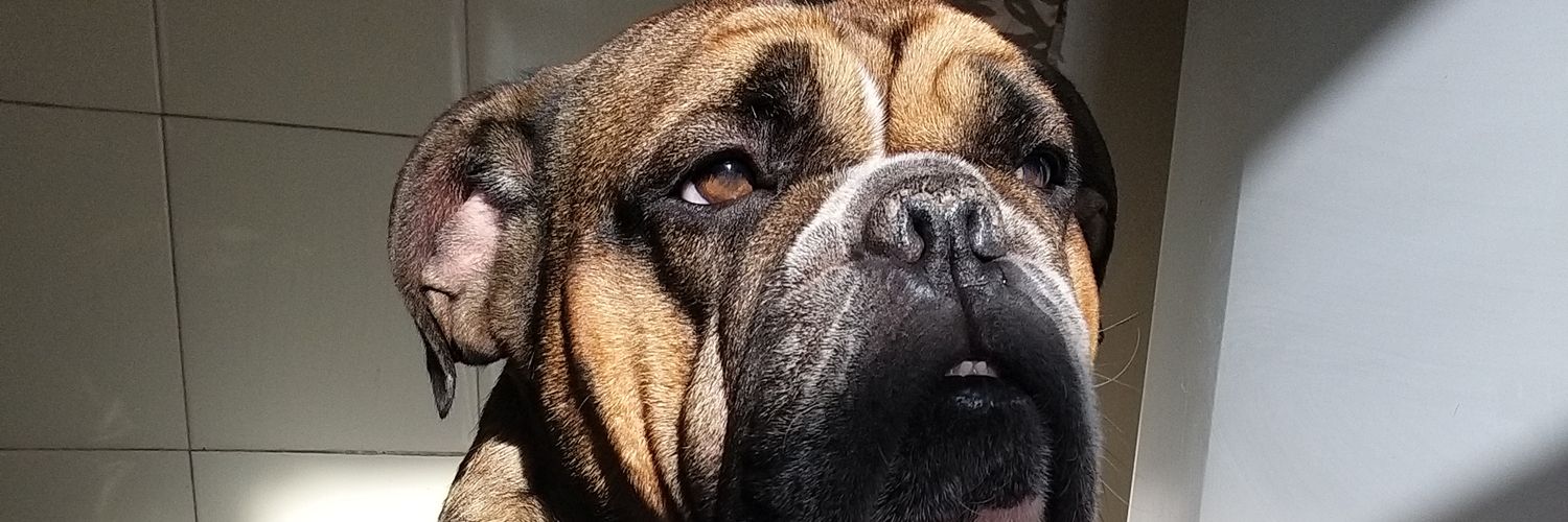 LuBCarrizo's profile banner image