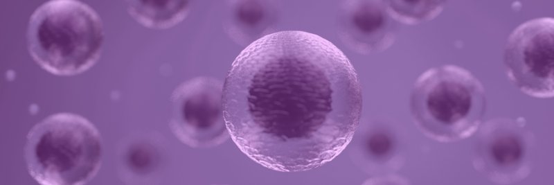 RegMedNet's profile banner image