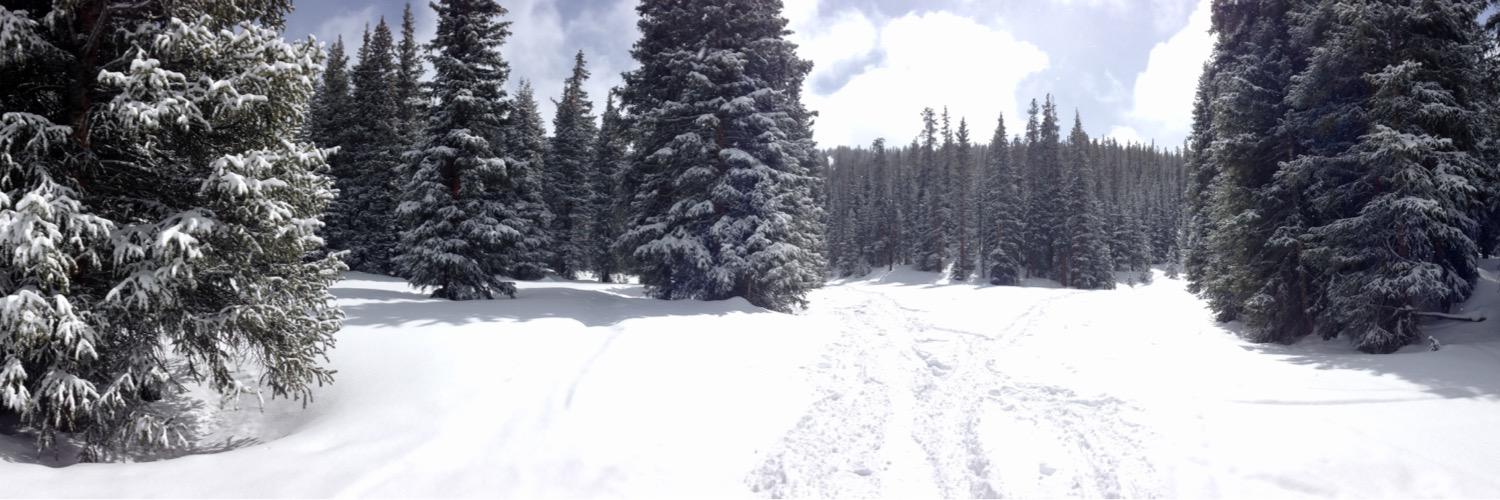 KDobbs44's profile banner image