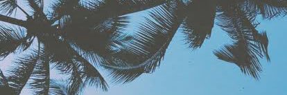 Emily_luizasm's profile banner image