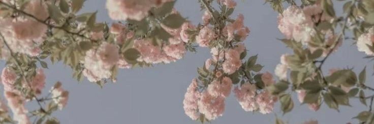 CorcesMary's profile banner image