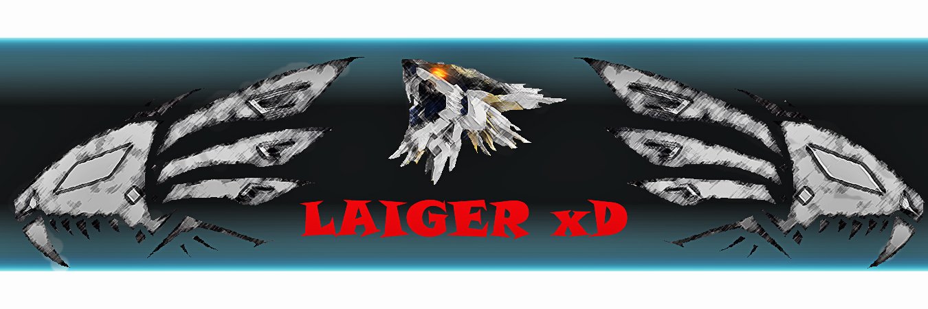 LAIGERxD's profile banner image
