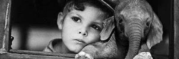 mae_quez Profile Banner