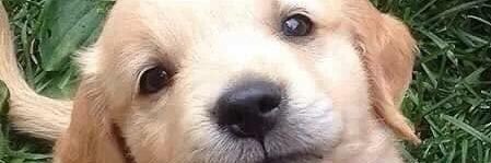 MaluCarrilloMC's profile banner image