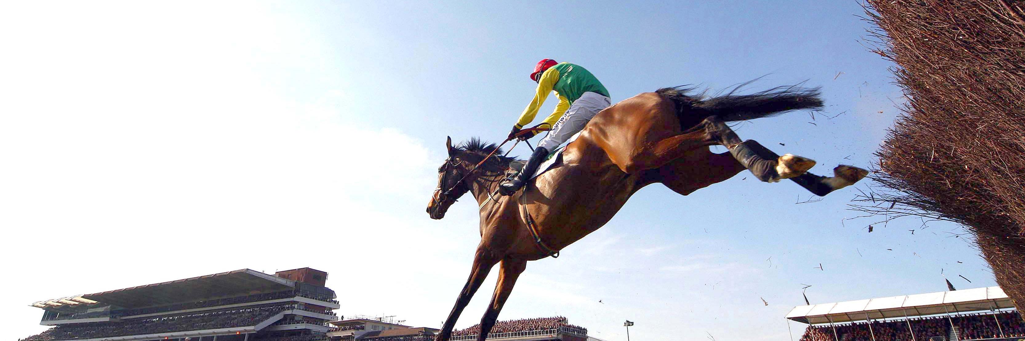 TalkingHorses1's profile banner image