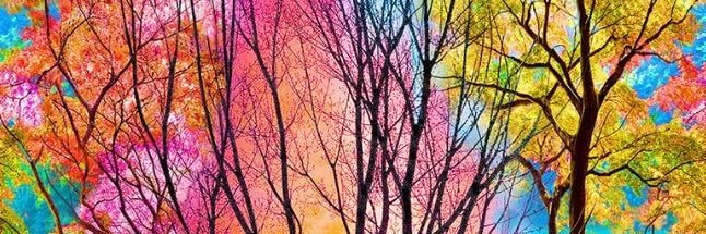 chinisjro's profile banner image