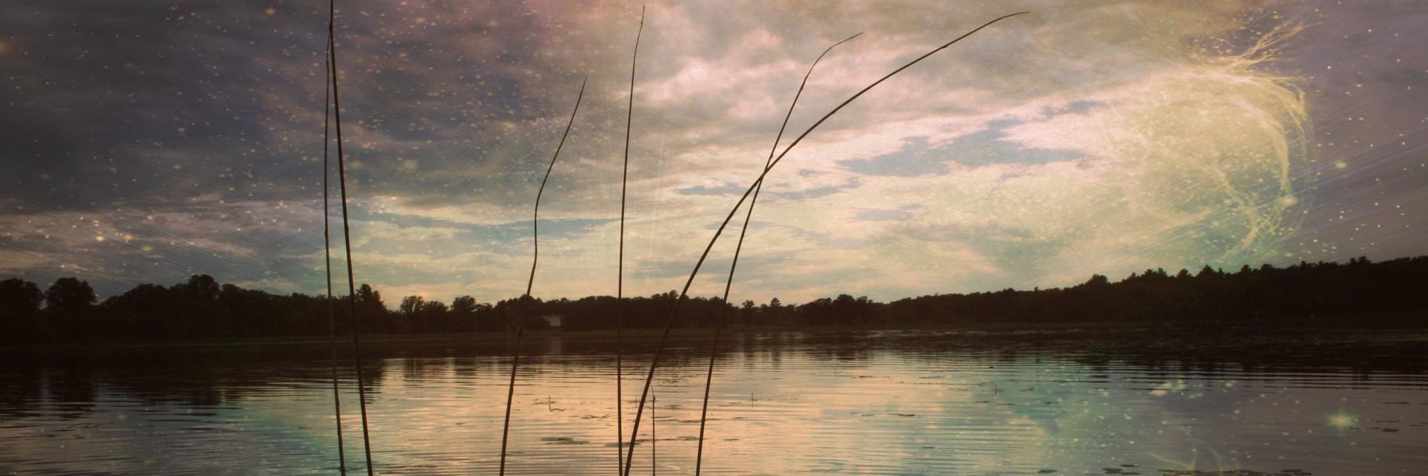 Raevarela6's profile banner image