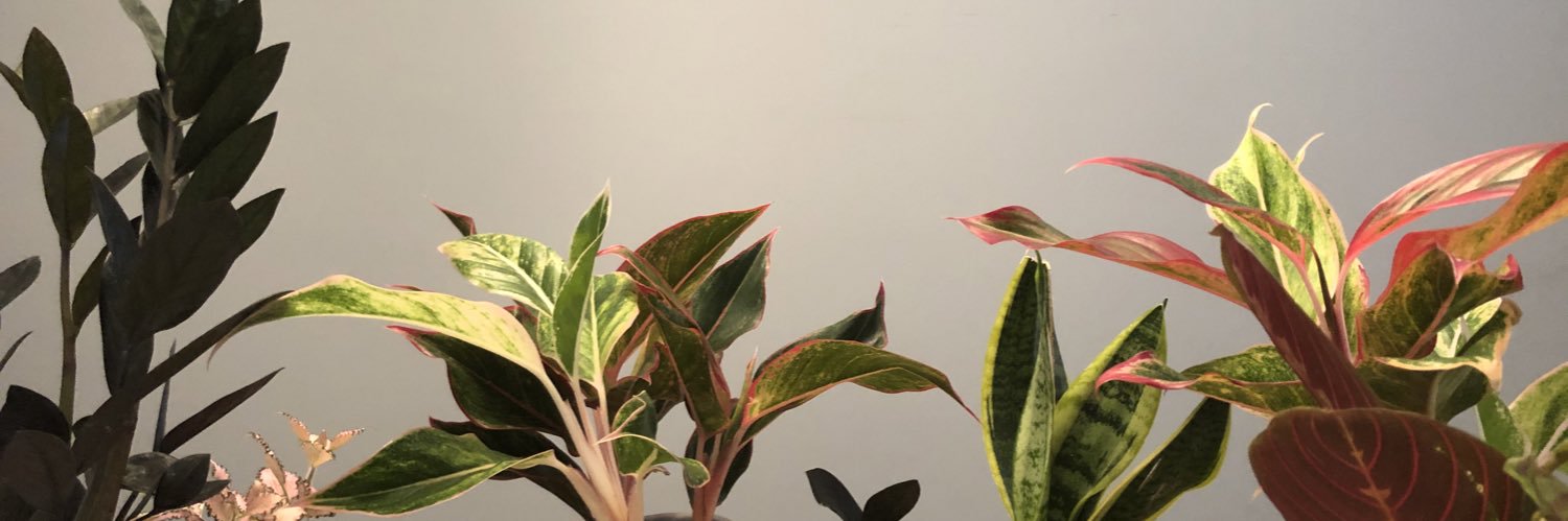 x_hatch is now *honeyglossed* on that other app banner