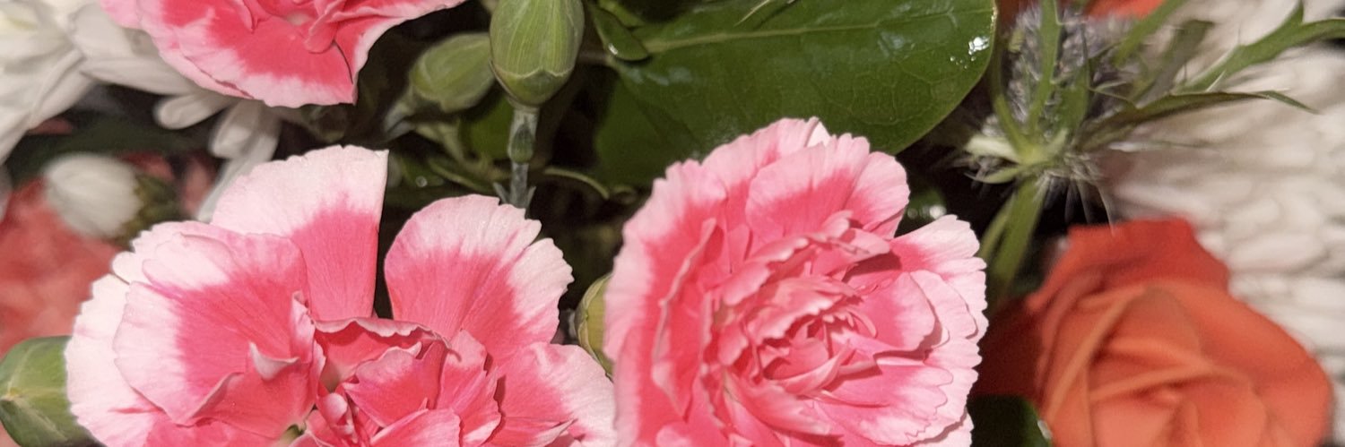 xadriiennee's profile banner image