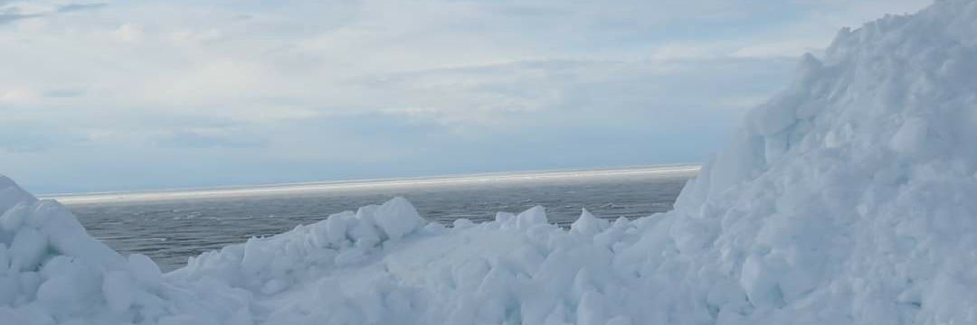 Lily Rose🌷❄ banner