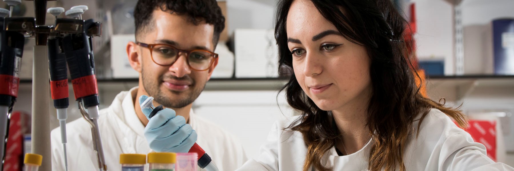 UCL_MBPhD's profile banner image