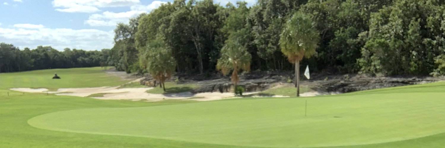 Twoeckner's profile banner image